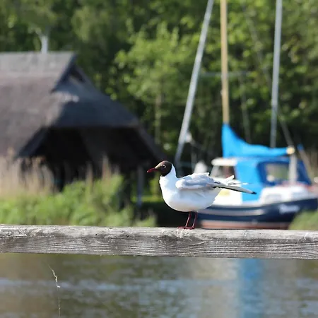 Apartmán Bernsteinzauber Staedtische Bestlage